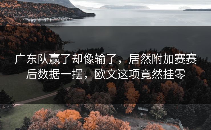 广东队赢了却像输了，居然附加赛赛后数据一摆，欧文这项竟然挂零
